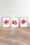 Wallity Huhu216 Cuadro Decorativo Enmarcado en MDF (3 Piezas) 50 x 70 cm